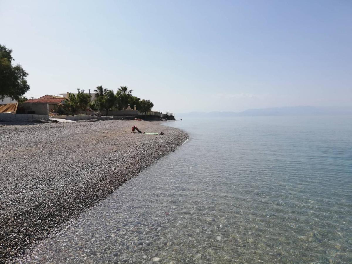 Olea Apartments Xylokastro Exteriér fotografie